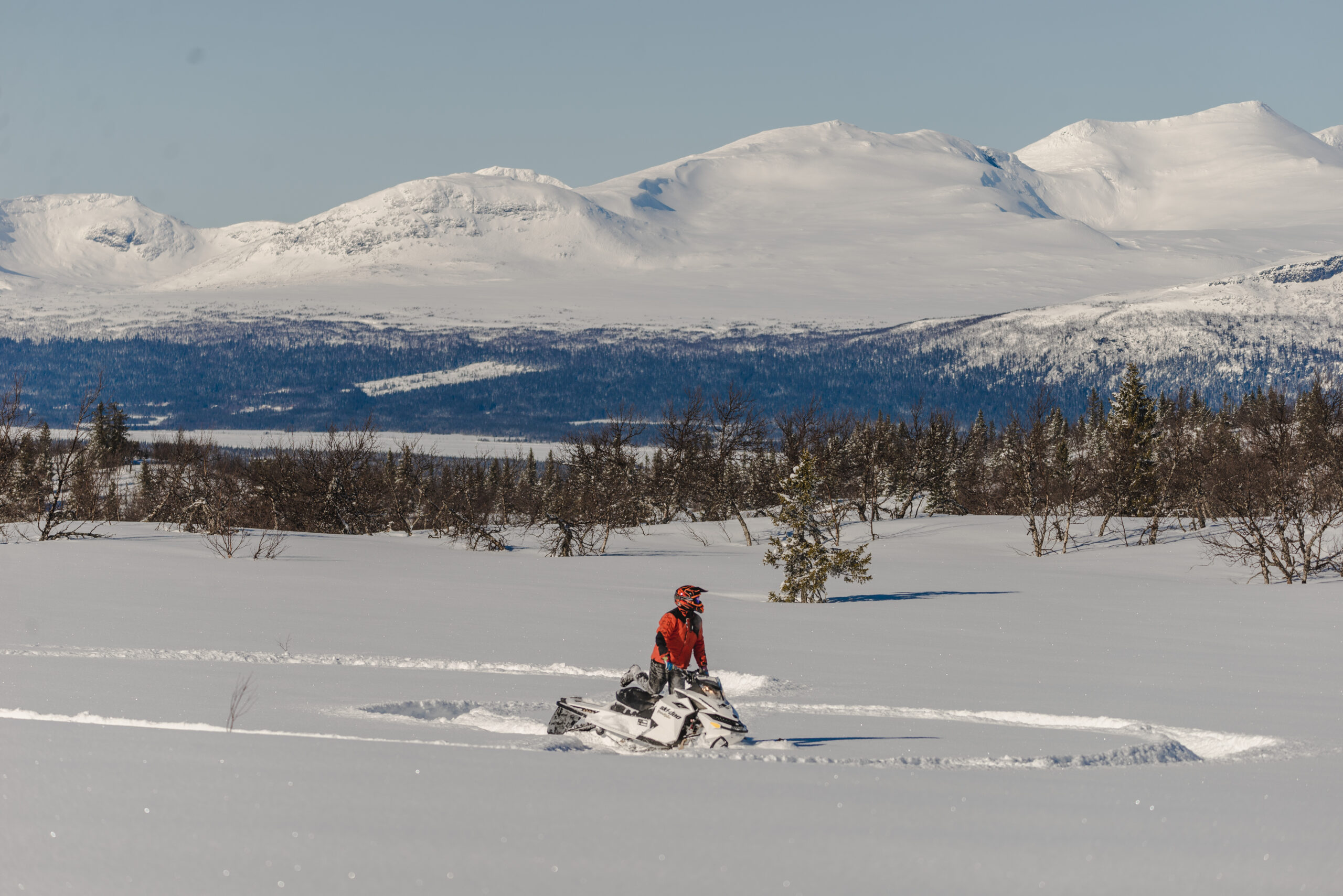 25032023-_DSC7682 Åsele