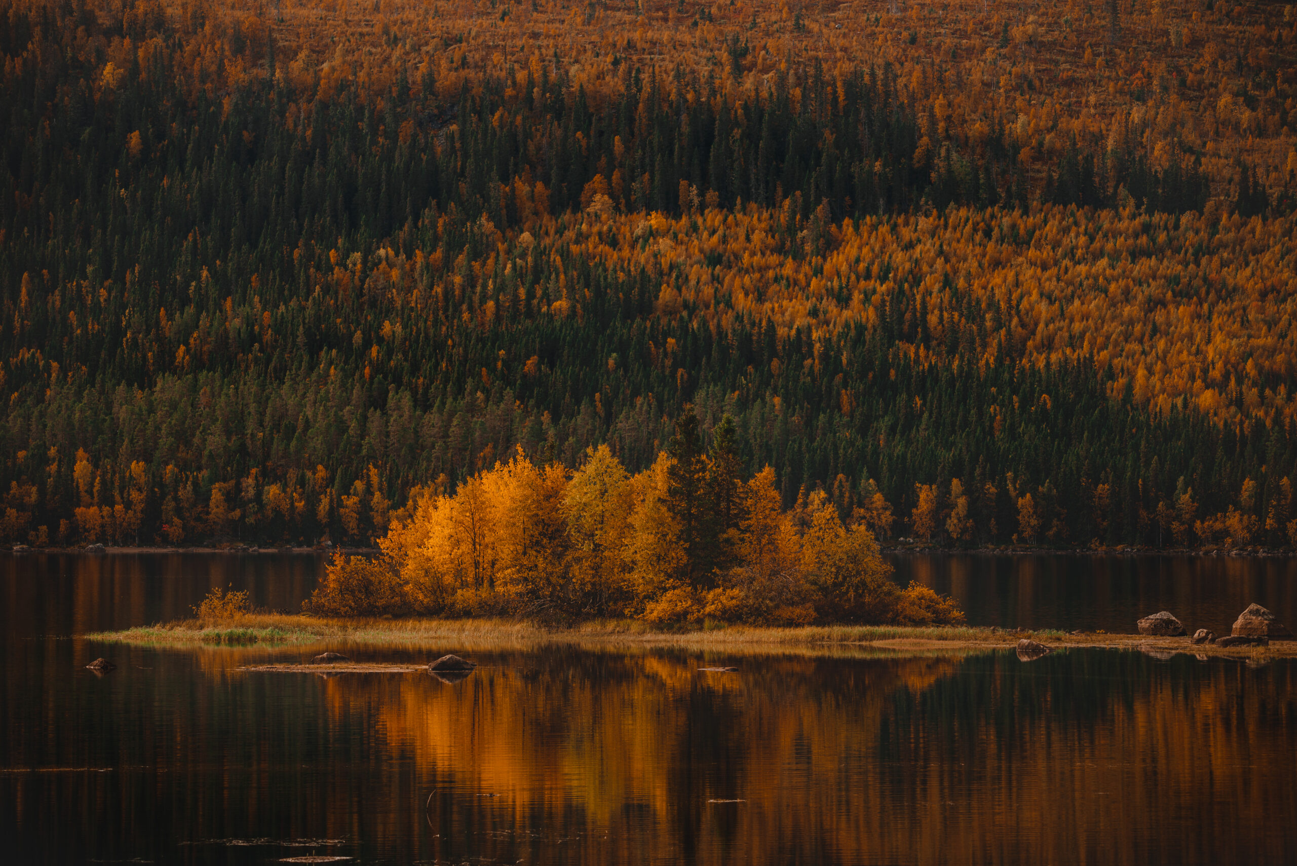22092022-_DSC6749 (3) Övertorneå